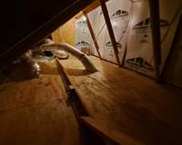 129761440_241141747352610_1323854810320101658_n