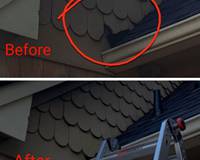 275864911_529472805186168_1248545935284952903_n